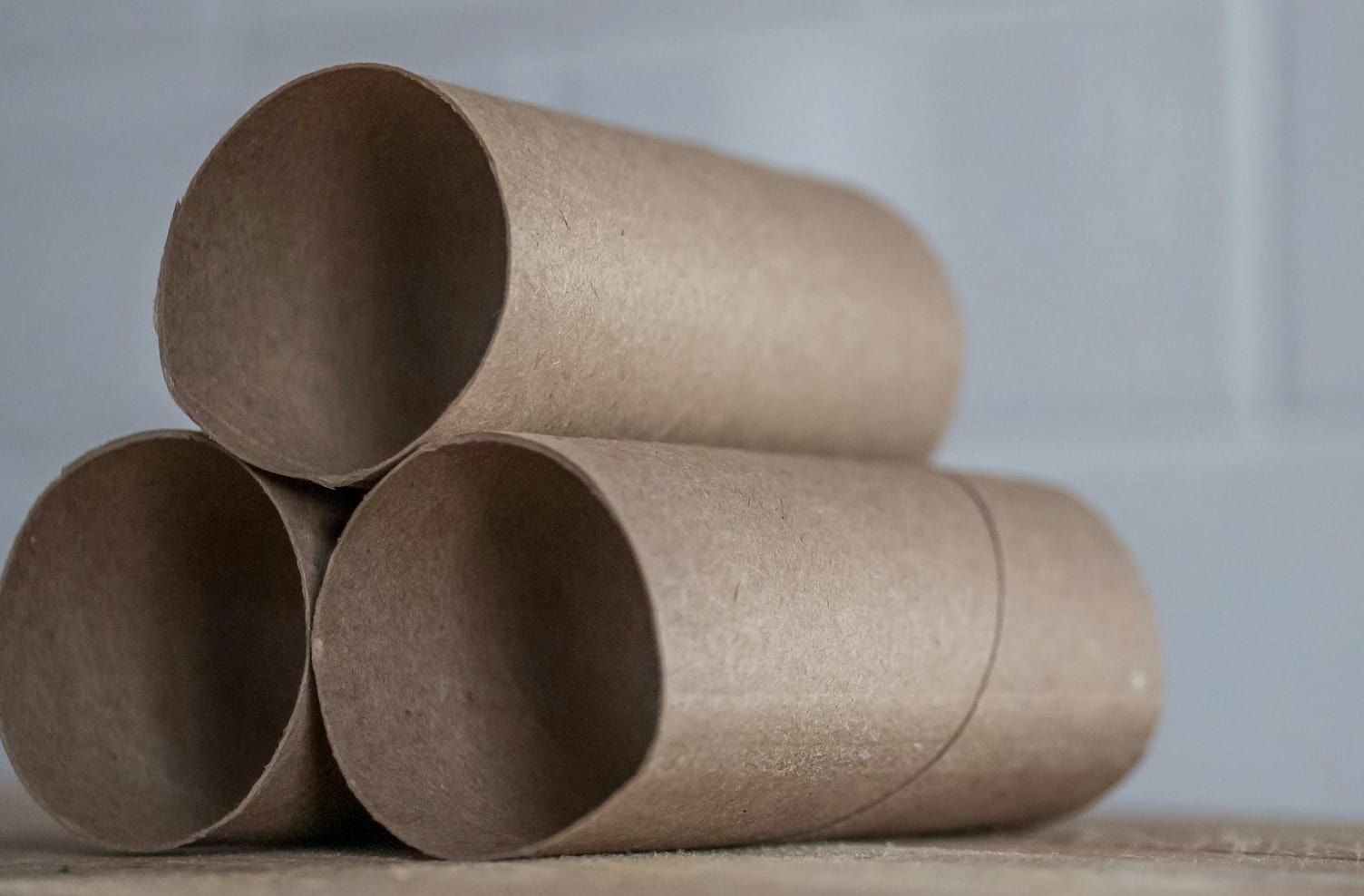 Tubos de papel higiénico