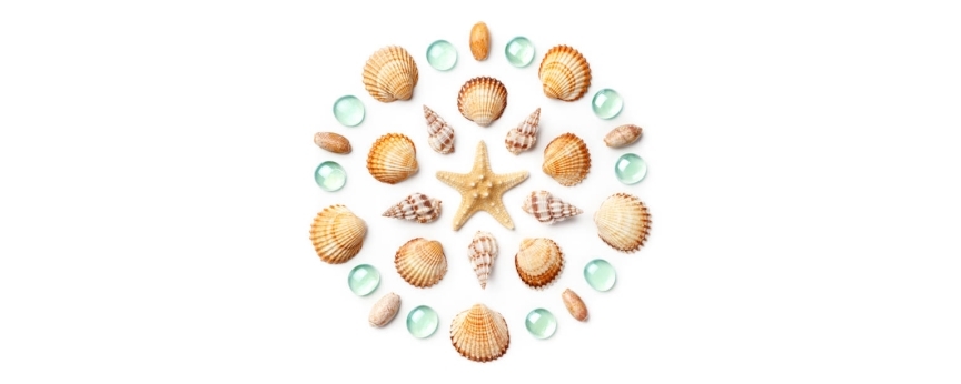 Perles en coquillage